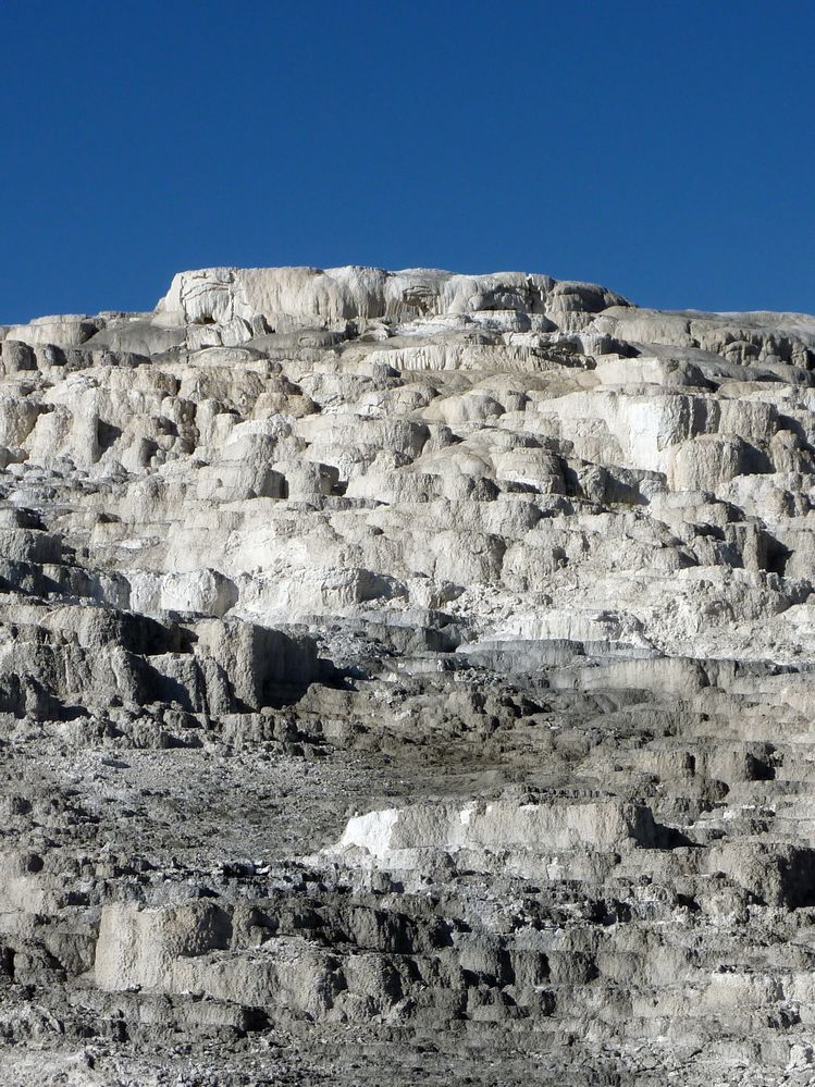Yellowstone Mammoth Hotsprings Minerva terrace (5).JPG